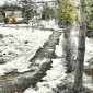 В гостях у друзей (анонс)